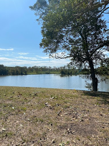 Sunny Day In Lake